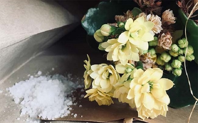 Chăm sóc cây hoa giả bằng muối - làm sạch hoa lụa giả không khác gì đồ mới