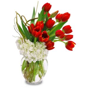 Hoa Tulip giả trang trí màu đỏ - Thiên Phát Decor cover