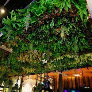 Vách cây giả - Vườn trên trần nhà – tiểu cảnh xanh – Đơn vị thi công trang trí Thiên Phát
